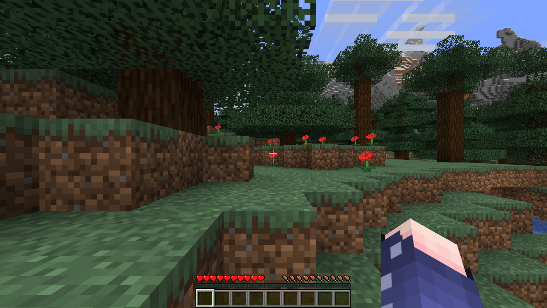 Minecraftサーバ